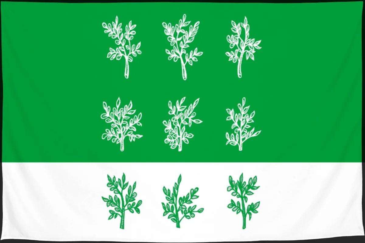 Флаг: Богородицкий район